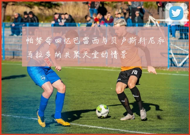 帕努奇回忆巴雷西与贝卢斯科尼和马拉多纳共聚天堂的情景