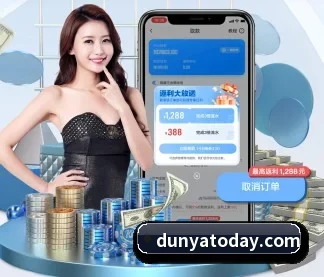 mk体育 APP